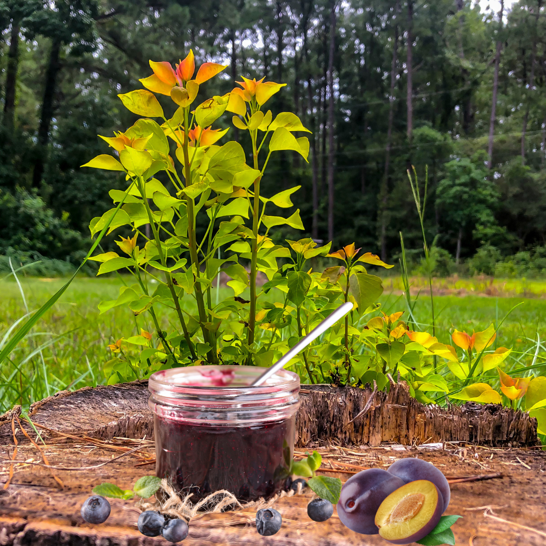 Plum and Blueberry Jam