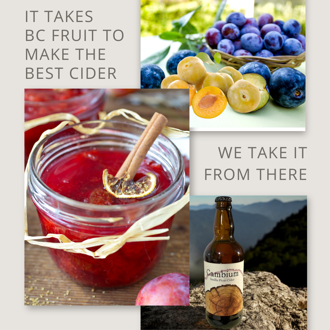 Luscious Plum Cider Jelly
