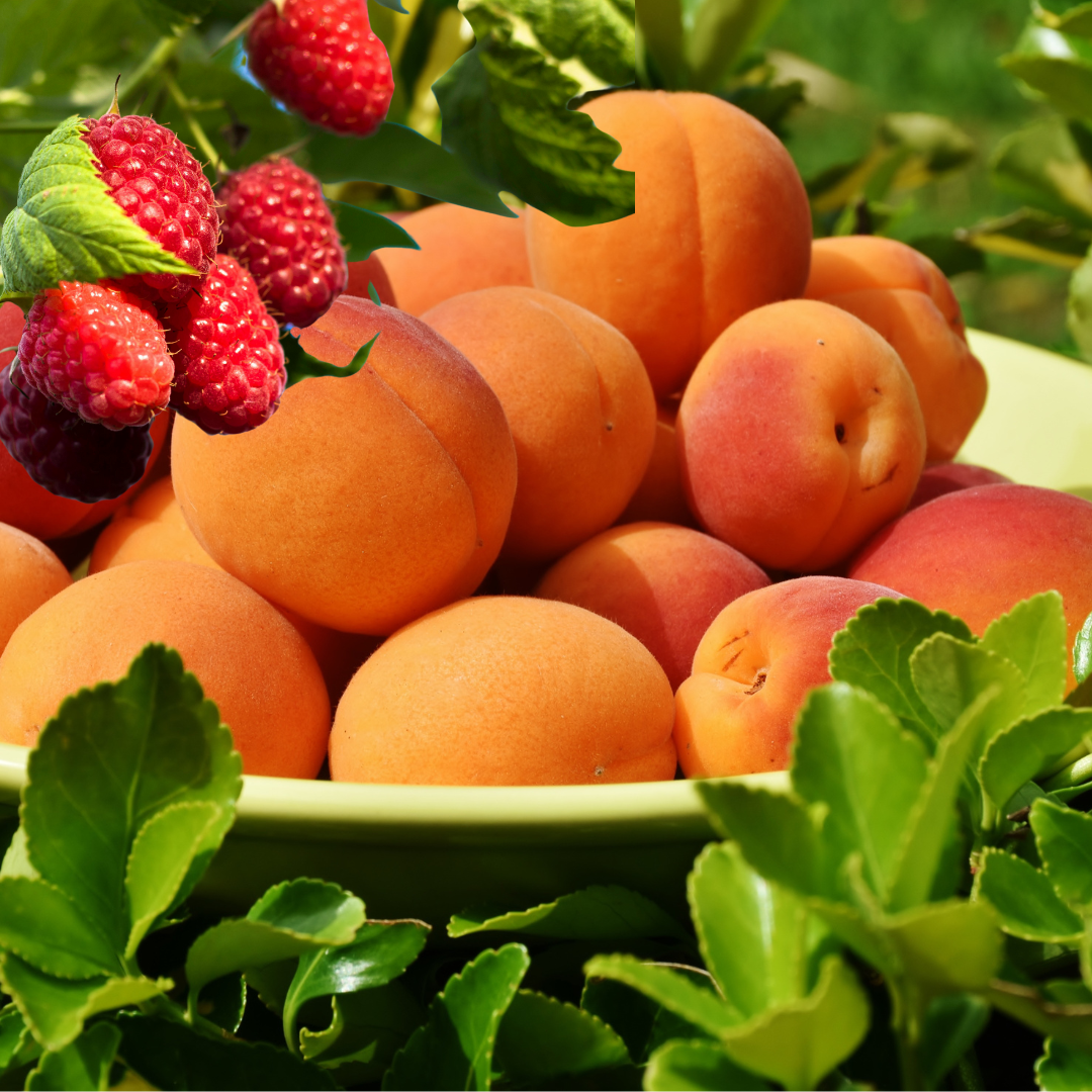 Peach Melba Jam,