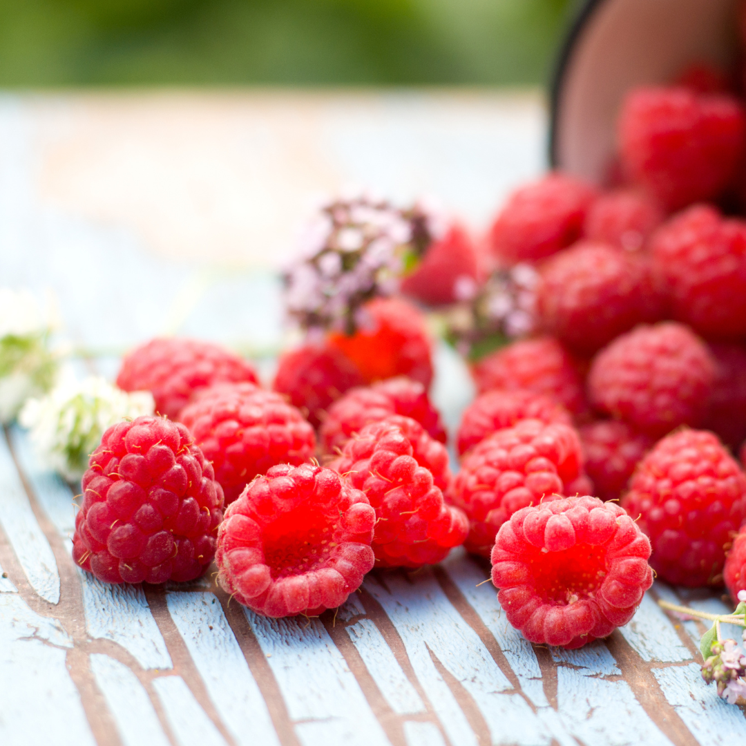 Raspberry Tart Jam