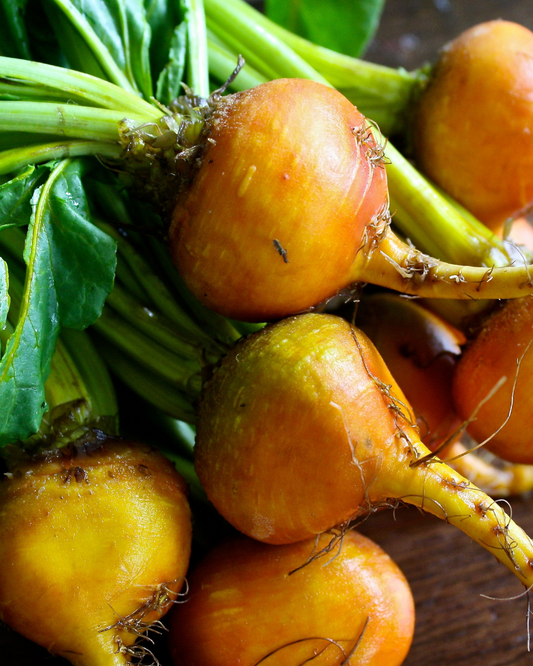Pickled Golden Beets